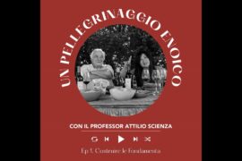 Ep. 2600 Ep. 1: Costruire le Fondamenta | Pellegrinaggio Enoico con Attilio Scienza