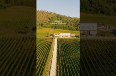 #winelover #italianvineyard #poggioalrigoloccio #toscana #toscanawine #winelover