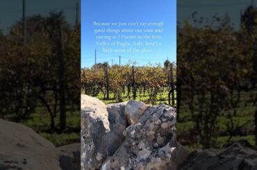 #winetasting #puglia #italy #travel #ipastini