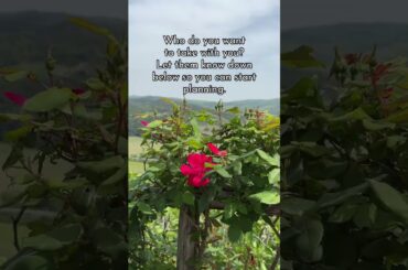 Let’s start using winter to get excited about spring travel