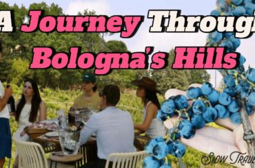Boutique Winery Tour with Wine Tasting & Food in Bologna | Things to do around Bologna