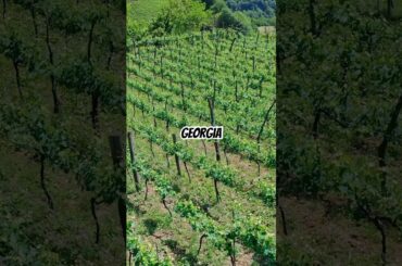 POV: You just discovered the most underrated country in Europe.1. The birthplace of wine 🍷