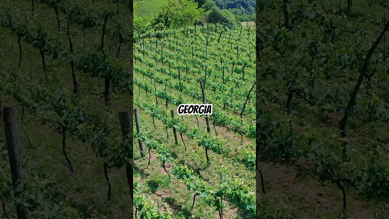 POV: You just discovered the most underrated country in Europe.1. The birthplace of wine 🍷 POV: You just discovered the most underrated country in Europe.1. The birthplace of wine 🍷