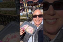 😭who else travels w/food? drop what you carry in your purse👇🏽 #italian #foodie #fyp #foryou