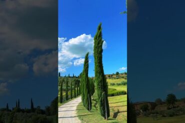 Summer in Tuscany 🌿#tuscany #toskana #italy #italya instagram🤪👉@arzu_unlu_34