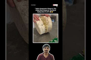 What began as a simple village cheese over a thousand years ago became a staple of Italian cuisine