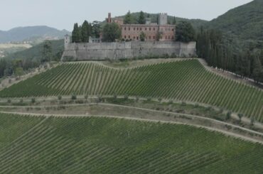 Tuscan Wine Journey: Explore the vineyards of the Tyrrhenian Sea
