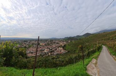 Road Trip through the Prosecco Hills: CastelBrando & Wine Road