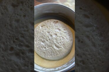 Incredible 825° pizza oven🔥💪🏼