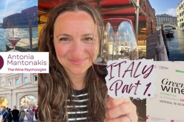 Inside Italy’s #wine scene| My #day at an #international #wine #conference  in #verona  🇮🇹