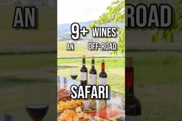 9+ Wines & an Off Road Safari