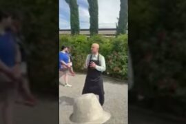 Wine vineyard in Italy! 🇮🇹