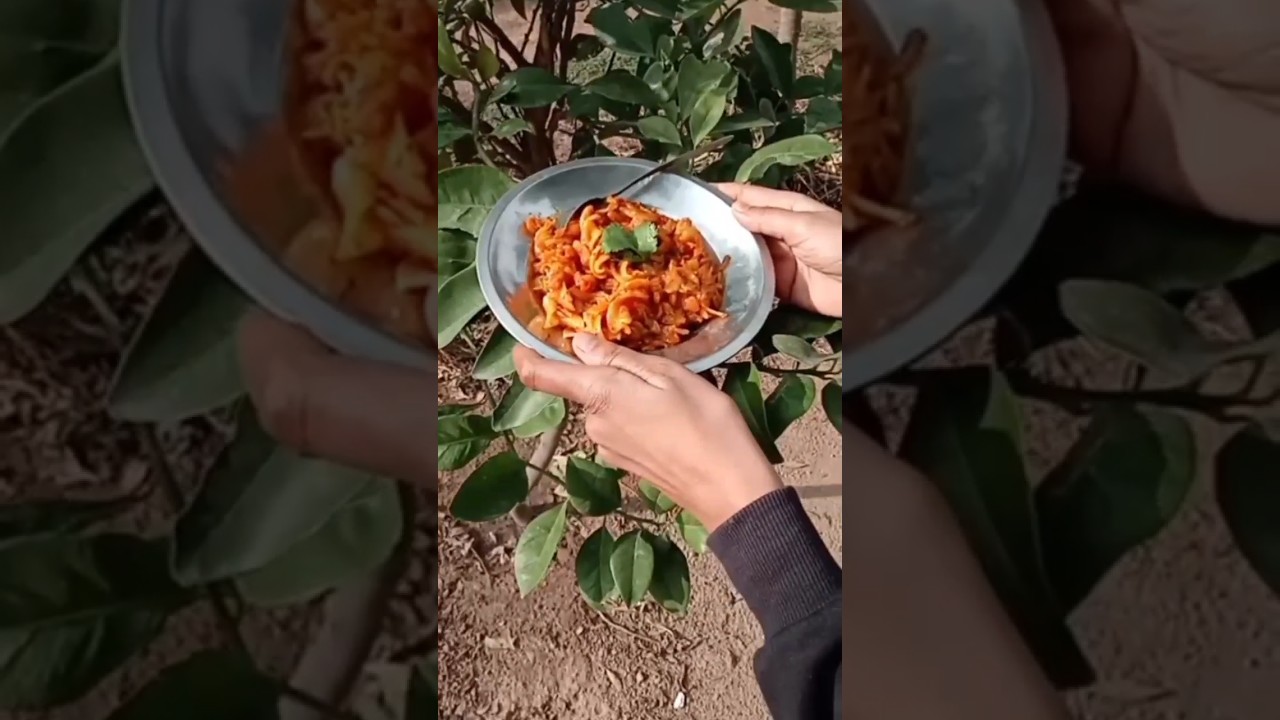 humare yha aisa hi hota hai 😂#food #cooking #recipe #minivlog #villagelife #youtubeshorts #shorts humare yha aisa hi hota hai 😂#food #cooking #recipe #minivlog #villagelife #youtubeshorts #shorts