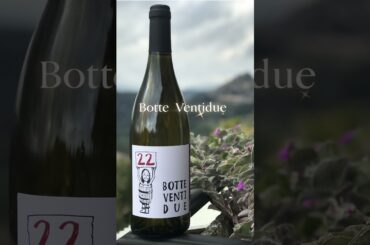 🍷Monte Retafani🍇REEL   I vini in degustazione