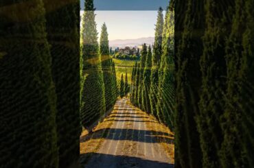 Italy #italy #countryside #beautiful #coffee #ihavethisthingwithplants