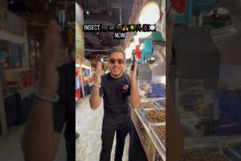 #mrnow #travel #automobile #mrnows #beach #romeitaly #funny #nature #donate #europeancapital