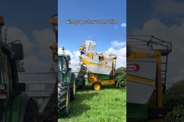 italy heavy machinery red wine🍷 grapes🍇 harvesting