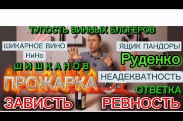 Денис Руденко/Иван Андреев/Александр Шишканов.Винный эксперт Стефан Секулич про ТУПОСТЬ.Вино Мальбек