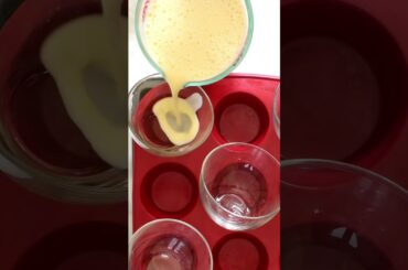 ✨ Italian Panna Cotta with Strawberry Sauce ✨