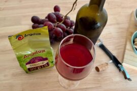 Can You Make Wine at Home with Supermarket Grapes? 🍷 Thailand Experiment