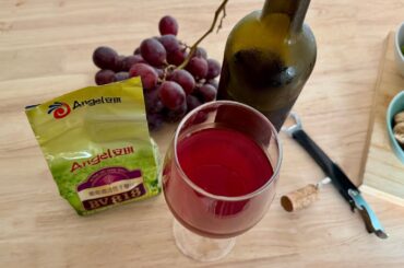 Can You Make Wine at Home with Supermarket Grapes? 🍷 Thailand Experiment