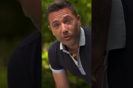 Painters and Chefs Judge Each Other's Work | Gino's Italian Escape  #chef #italiangetaway #cooking