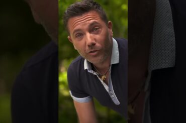 Painters and Chefs Judge Each Other's Work | Gino's Italian Escape  #chef #italiangetaway #cooking