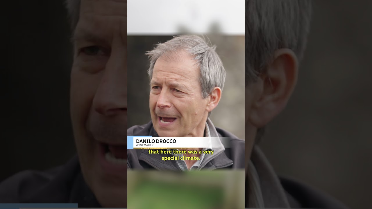 Get to know the King of Valtellina grapes 👑 🍇 | #CBCSports Get to know the King of Valtellina grapes 👑 🍇 | #CBCSports
