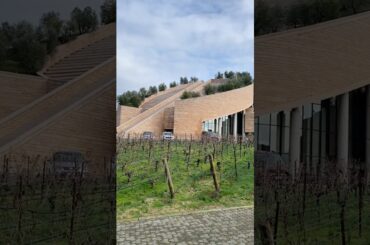 Visiting and Tasting at the Petra Winery in Tuscany's Val di Cornia #winery #costatoscana #dcamw