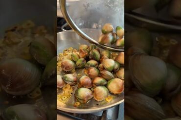 green spaghetti with clams🌿 full recipe for free on substack, where you can ALSO find my