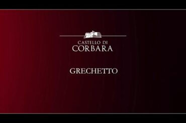 Wine Experience - Grechetto