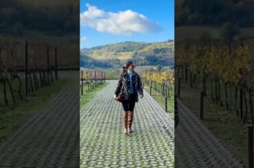 Under the Tuscan Sun