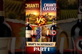 Chianti vs Chianti Classico🍷What’s the difference? Full video on my channel! #mywinediary #chianti