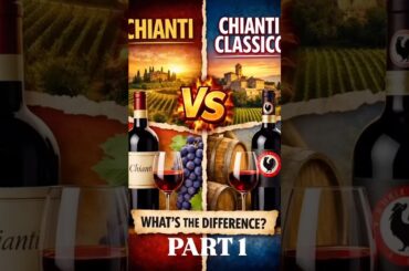 Chianti vs Chianti Classico🍷What’s the difference? Full video on my channel! #mywinediary #chianti