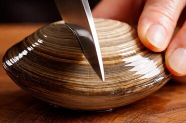 ASMR: Cutting Food Glass Ingredients from Italian Cuisine – Relaxing Sounds.