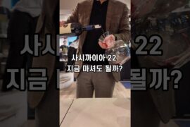 사시까이아 2022 지금 마셔도 될까? #사시까이아 #와인 #wine #이태리와인