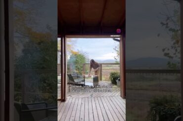 Top Luxury Health and Wellness Retreats in Europe |Transformative European Getaways Q’Belhos qbelhos