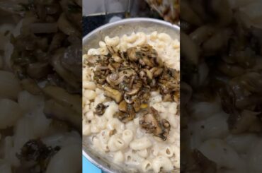 Creamy Mashroom pasta #shorts #shortvideo #shortsfeed #creamypasta #mashroom