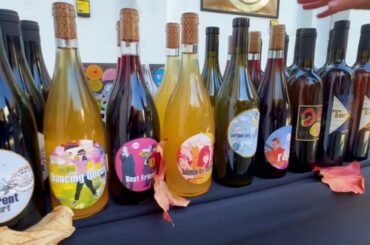 Rawomania 1st Edition: 1st Natural Wine Fair in Romania