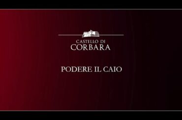 Wine Experience - Podere il Caio