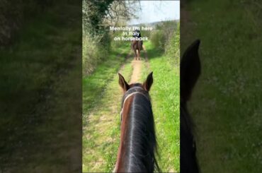 Fine wine, beautiful horses, and incredible views – is there anything better?