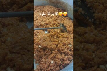 cooking work in Italy Bergamo 🇮🇹 🇵🇰 0039380 371 9880 Romano di Lombardia