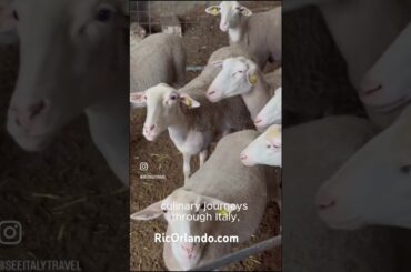 Experience Sicily, don’t just see it