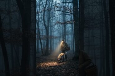 3 Things to Do in Motovun — Truffles Are Just the Start