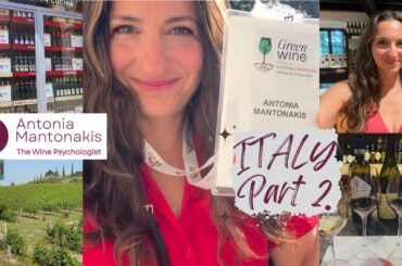 Inside #italy ’s #wine scene (Part 2) 🍷 | Beyond the #wine #conference in #verona 🇮🇹