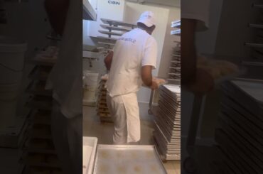 #music #birdisanjiv #lifeisbutadream #food #india #punjabi #italy #rome