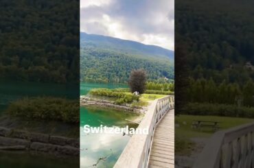 #song #indianrepublicday #travel #food #lifeisbutadream #ihavethisthingwithplants#italy #switzerland