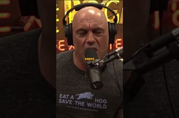 Joe Rogan on American Italian Food 😮 #shorts