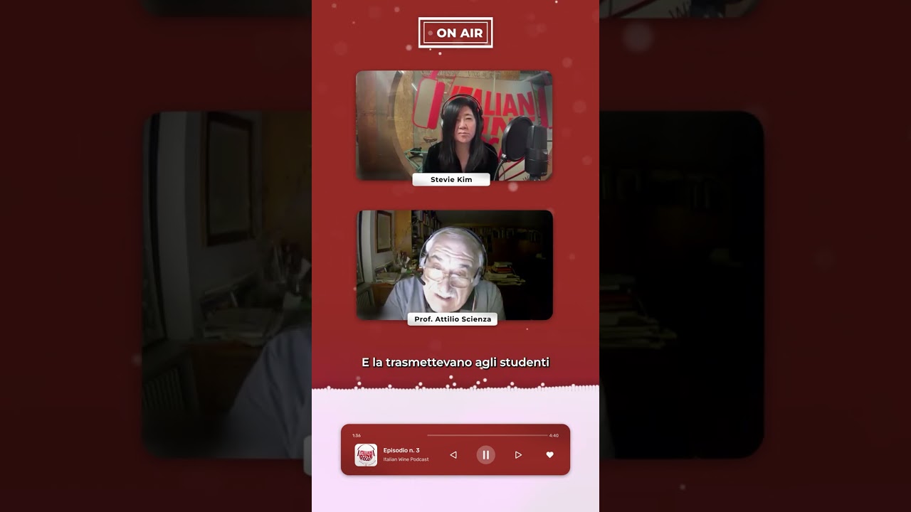 Sulle orme del vino italiano Sulle orme del vino italiano