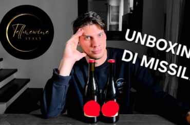 HO COMPRATO DEI VINI PAZZESCHI ⚠️🍷